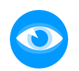IT Surveillance
