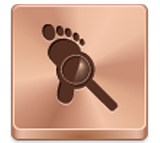 IT Audit